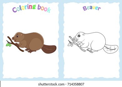 Coloring book page for preschool children with colorful beaver  and sketch to color. Animals of north America.