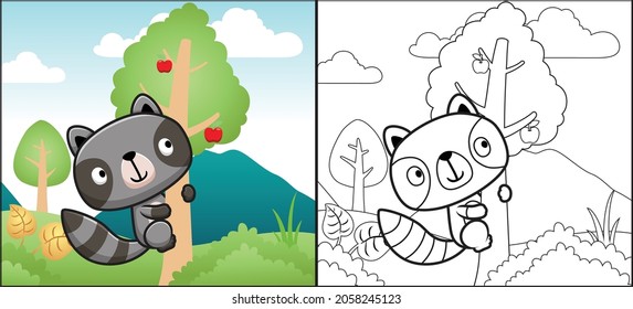 Coloring book or page of raccoon cartoon climbing fruit tree in forest