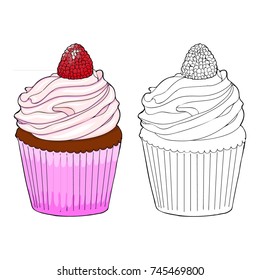 Coloring book page. Sketch and color version cupcake with raspberry. Coloring for kids. Vector illustration.