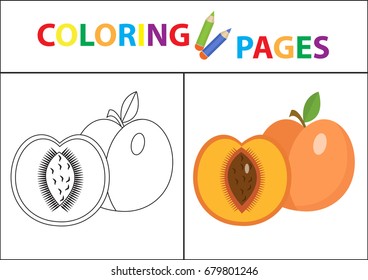 Coloring Book Page. Sketch Outline And Color Version. Coloring For Kids. Childrens Education. Vector Illustration