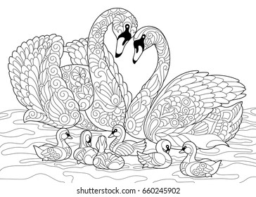 Coloring book page of swan birds family. Freehand sketch drawing for adult antistress colouring with doodle and zentangle elements.