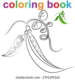 Coloring book page template with peas in pods, for kids .Vector illustration EPS 10.