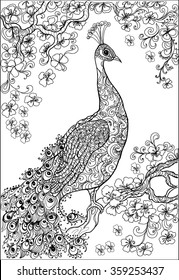 coloring book pages .peacock , flower ,garden