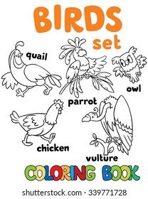 Coloring book or coloring picture with birds, vulrure, owl and parrot, quail and chicken.