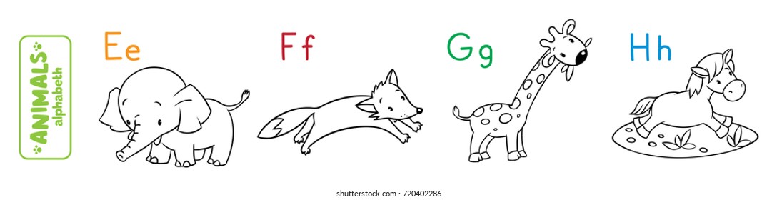 Coloring book or coloring picture of funny elephant, fox, hippo and giraffe. Animals zoo alphabet or ABC.
