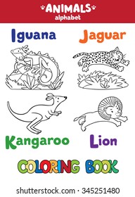 Coloring book or coloring picture of funny iguana, jaguar, kangaroo and lion.  Animals zoo alphabet or ABC.