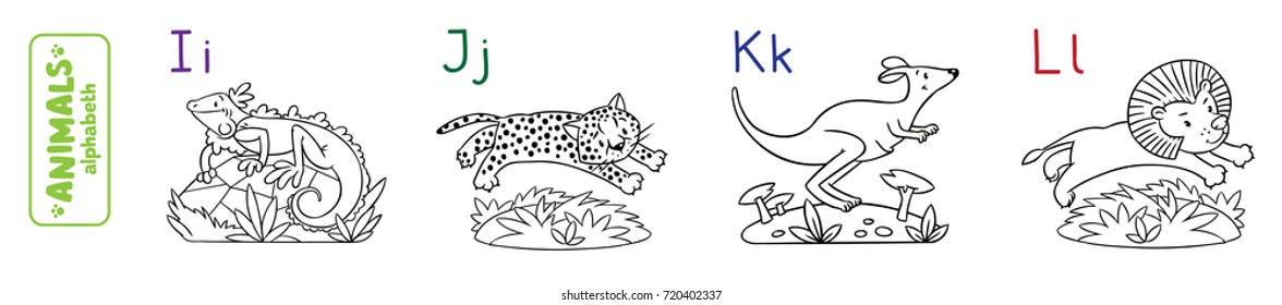 Coloring book or coloring picture of funny iguana, jaguar, kangaroo and lion. Animals zoo alphabet or ABC.