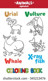Coloring book or coloring picture of funny urial, vulture, whale and x-ray fish.  Animals zoo alphabet or ABC.