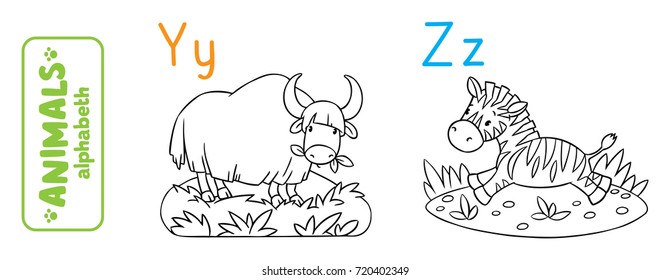 Coloring book or coloring picture of funny yak and zebra. Animals zoo alphabet or ABC.