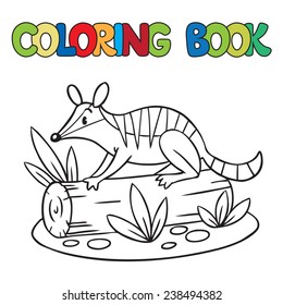 Coloring book or coloring picture of little funny numbat on a log