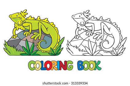 Coloring book or coloring picture of little funny iguana on rock