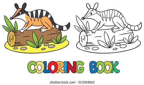 Coloring book or coloring picture of little funny numbat on a log