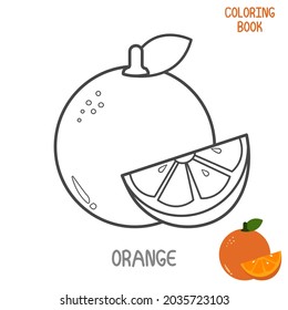 Coloring book with printable vector illustration of citrus fruit for children's learning media