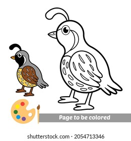 Libro de coloración, vector de codorniz