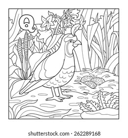 Coloring book (quail), colorless illustration (letter Q) 