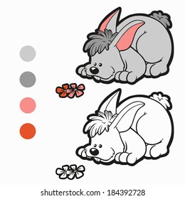 Coloring Book (rabbit)