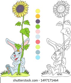 coloring book, rabbit holds a flower sunflower