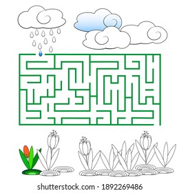 Coloring book with rain clouds, flowers and a maze on a white background. Educational illustration for children