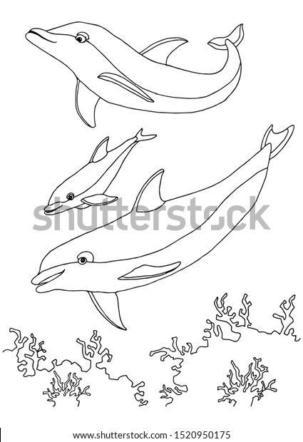 Download Coloring Book Sea Life Dolphins Family Stock Vector Royalty Free 1520950175