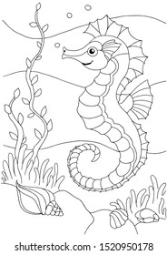 coloring book sea life. sea horse, hippocampus. Underwater world. outline vector Black and white illustration for colouring book page.