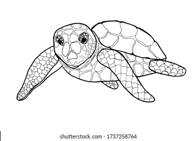 Coloring Book Sea Turtles Mom Baby Stock Vector (Royalty Free ...