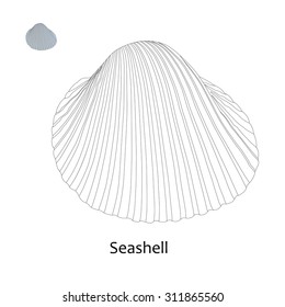 Coloring book (seashell) for children. Vector illustration.