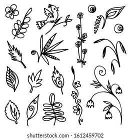 Coloring book. Set of hand drawn black doodle elements isolated on white background for coloring. Bird, spikelet, curl, leaf, flower, flower brush, tropical leaf, bindweed, bell.