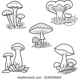 Coloring book. Set of vector mushrooms. Cartoon illustrations of forest mushrooms. Porcini, king trumpet, honey agaric, fly agaric, mushroom chanterelle