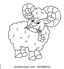 Coloring book with sheep, vector