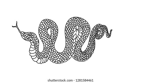 Coloring book snake vector for tattoo style isolate on white background.