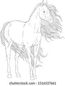 Coloring book sports horse. Long mane.