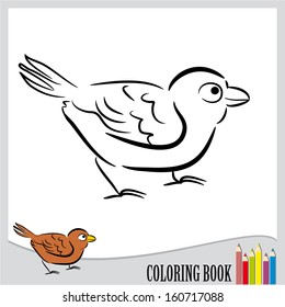 Coloring book - standing sparrow (vector)