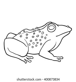 Coloring book: Toad