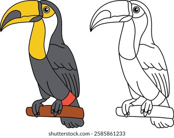 Coloring Book Toucan Toco Bird with Guide Color