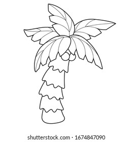 coloring book tropical palm tree
