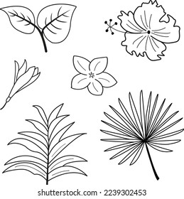 Coloring book. Tropical vector flowers and leaves outline. Exotic plants for coloring. Illustration of beautiful hand-drawn tropical plants