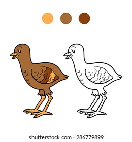 Coloring book (turkey)