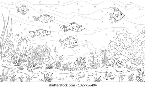 Coloring book underwater landscape. Hand draw vector illustration with separate layers.