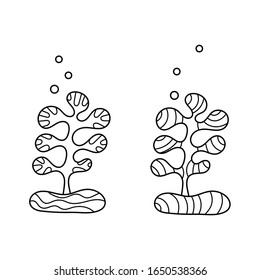 Coloring book. Underwater world of ocean plants. Anti-stress sketch by hand drawing with Doodle elements.