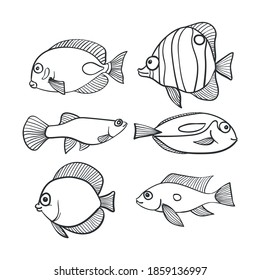 Coloring book various fishes, vector illustration