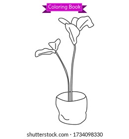 coloring book vase with 2 plants