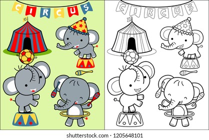 Coloring book vector with elephant cartoon in circus show