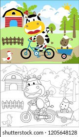 Coloring book vector of funny cow riding bicycle pulling sheep on wheelbarrow. Farmyard animals on farm field background