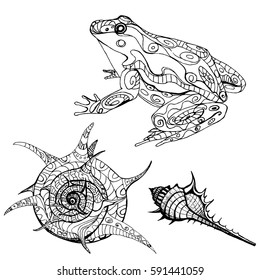 coloring book, vector illustration. Shells and the Frog.