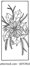 coloring book vector new year flower poinsettia Euphorbia pulcherrima christmas holiday illustration outline stroke isolate on white background holiday hand drawing