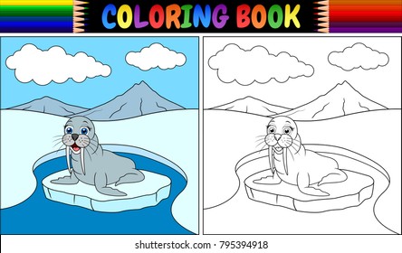 Coloring Book With Walrus Cartoon