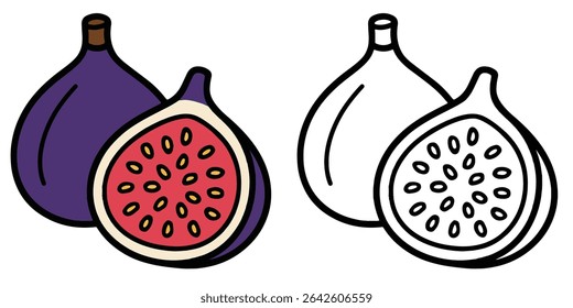 Coloring book of a whole fig and a sliced fig, on white background outline vector illustration