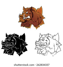 Coloring book Wild Boar Head cartoon character