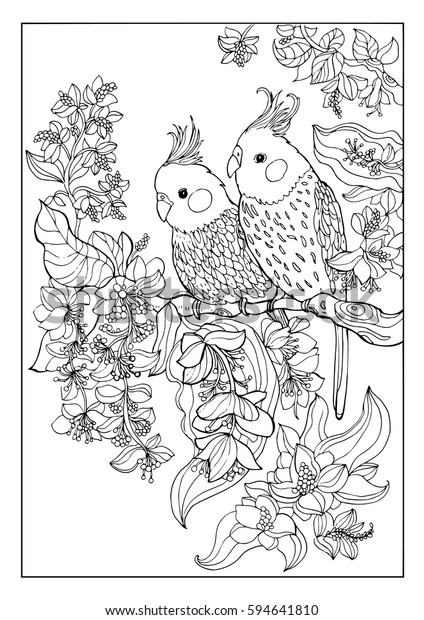 Download Coloring Bookpair Parrots Exotic Colors ...