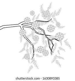Coloring Branch with Flowers for Adults. Hand drawn artistically ethnic ornament with patterned illustration.